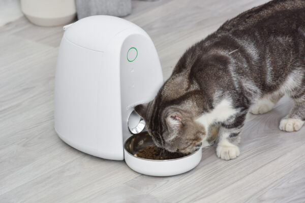 多尼斯App餵食器mini 2L
