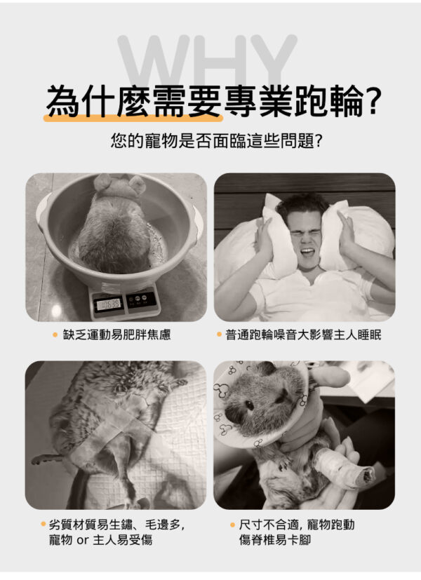 超級跑輪