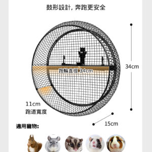 掛壁式跑輪