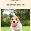 鳥形乳膠發聲狗玩具