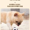 乳膠足球玩具A款