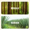 貓爬架(L30*W30*H60cm)
