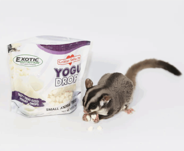 美國Exotic Nutrition酸奶優格 原味/木瓜/藍莓