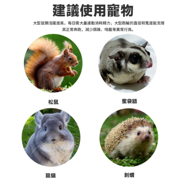 不鏽鋼靜音大跑輪