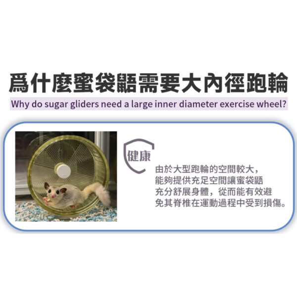 不鏽鋼靜音大跑輪