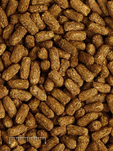 《Mazuri瑪滋力》25磅大包裝 5E5L高纖陸龜小乖乖 迷你大小乖乖 象龜草食蜥蜴蘇卡達豹龜櫻桃紅腿赫曼亞