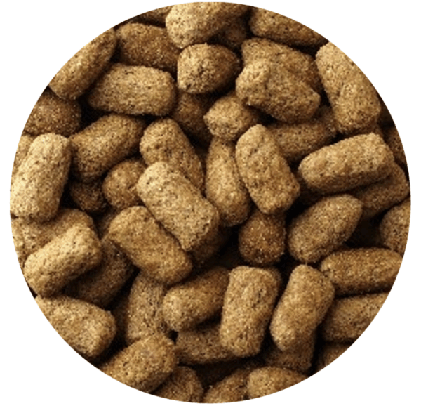 《Mazuri瑪滋力》25磅大包裝 5M21陸龜飼料大乖乖 幼龜 象龜 草食蜥蜴蘇卡達豹龜櫻桃紅腿赫曼亞達