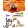 Reptile (1)