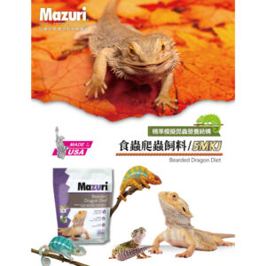 Reptile (1)