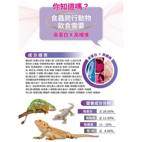 Reptile (5)