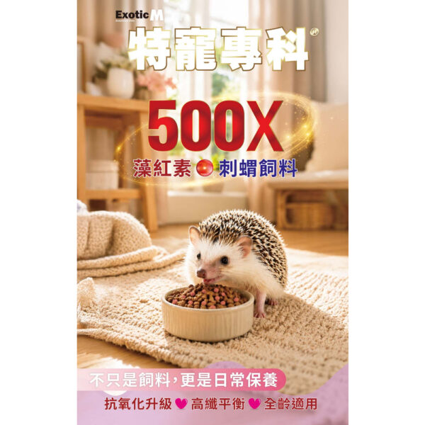 hedgehog (1)