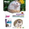 hedgehog (1)