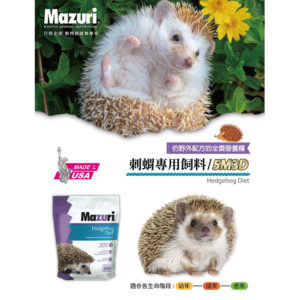 hedgehog (1)