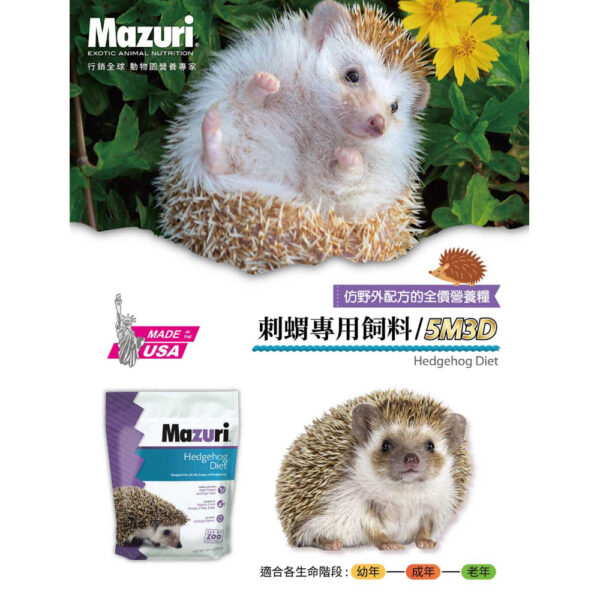 hedgehog (1)