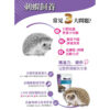 hedgehog (2)