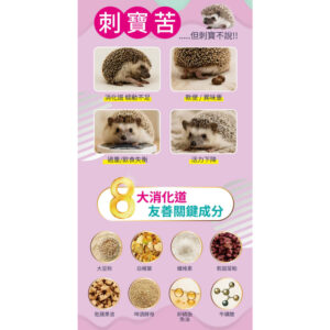 hedgehog (4)