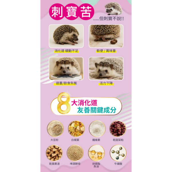hedgehog (4)