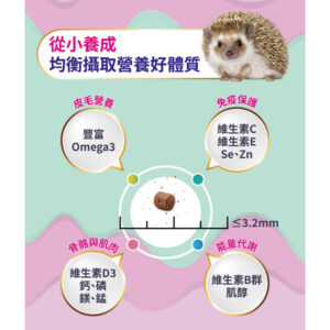 hedgehog (5)