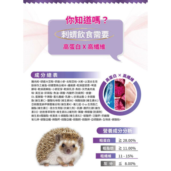 hedgehog (5)