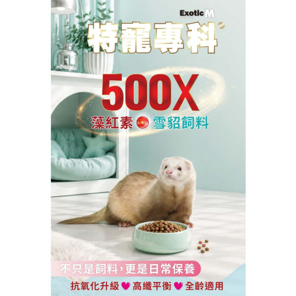 mink (1)