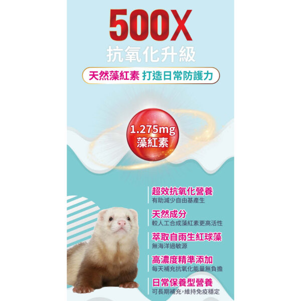 mink (2)