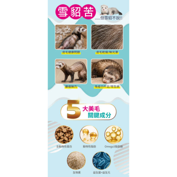 mink (4)