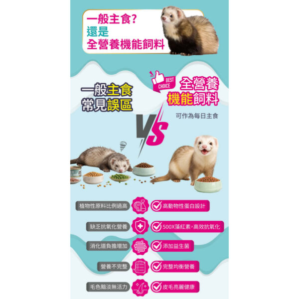 mink (6)
