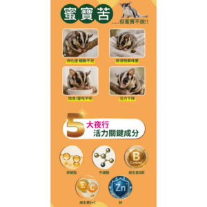 sugar glider (4)