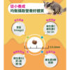 sugar glider (5)