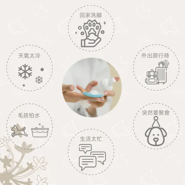 乾洗2
